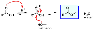 Fischer esterification mechanism