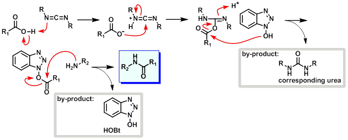 HOBt/EDC Coupling Mechanism