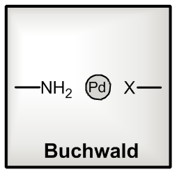 Palladium Catalyzed Buchwald Reaction
