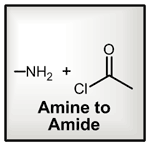 Amine to Amide 1