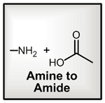 Amine to Amide 2